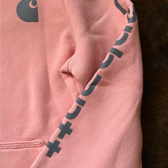 Carhartt Light Pink Hoodie with Gray Logo - Picture 2 of 3